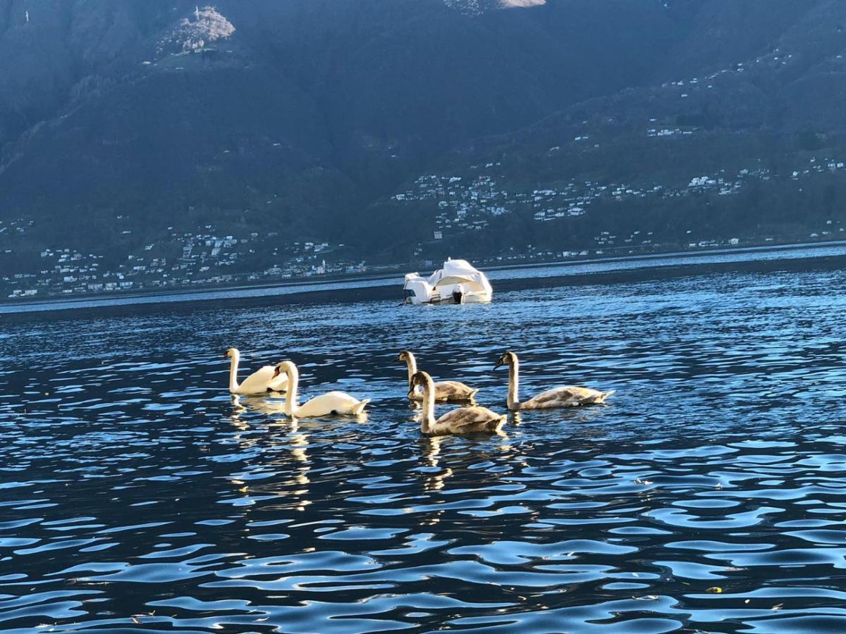 Apartmán Casa Sibylle Bei Locarno Exteriér fotografie