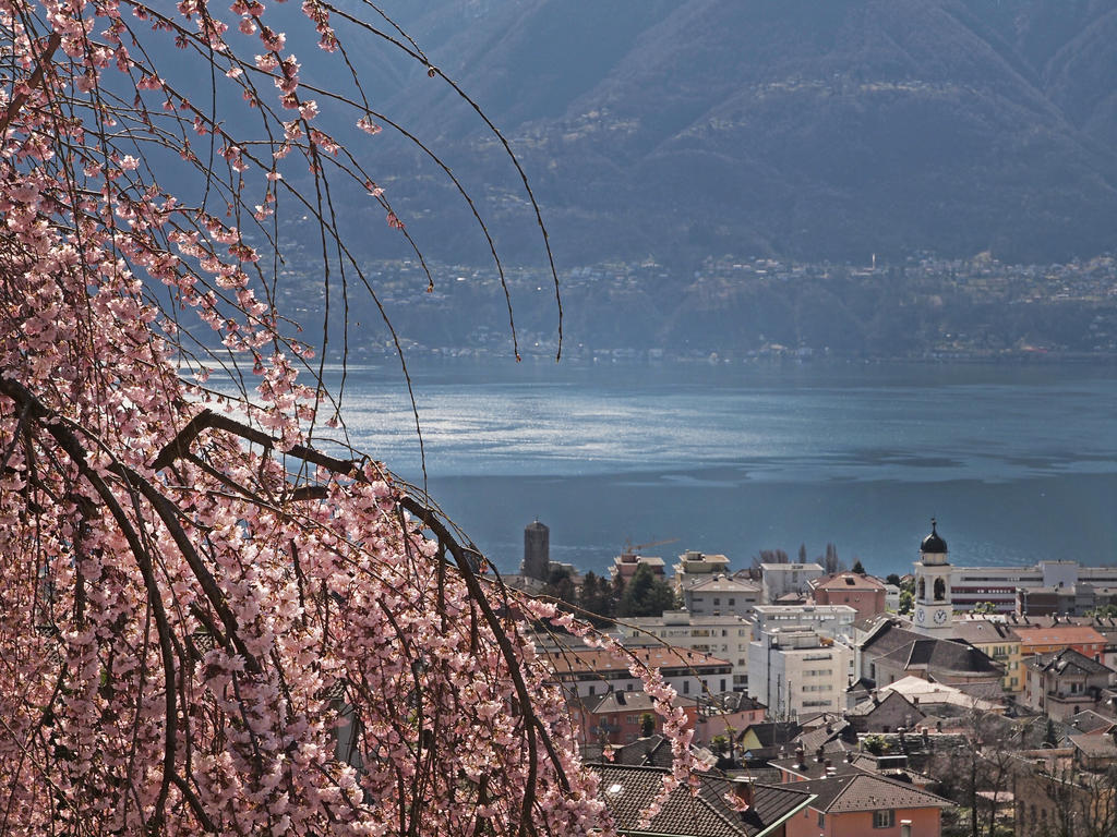 Apartmán Casa Sibylle Bei Locarno Exteriér fotografie